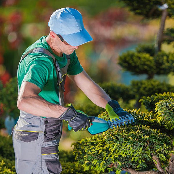 شركة تنسيق حدائق بالرياض